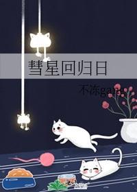 彗星回归日