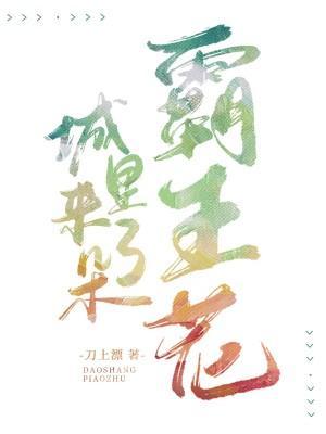 城裏来了朵霸王花