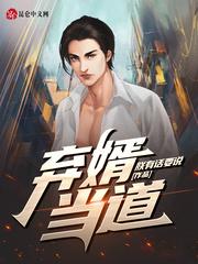 小说主角叶辰王佳珧