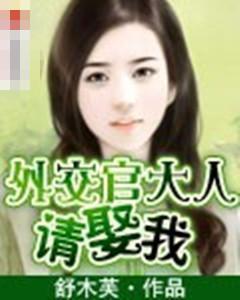 外交官大人，请娶我