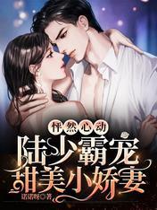 怦然心动:陆少霸宠甜美小娇妻