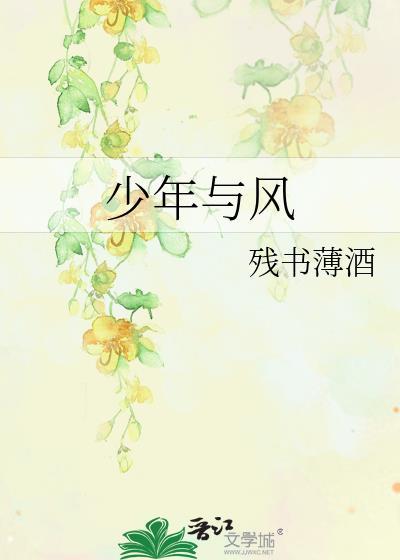 少年与风