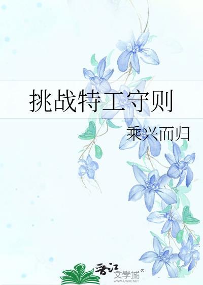 挑战特工守则