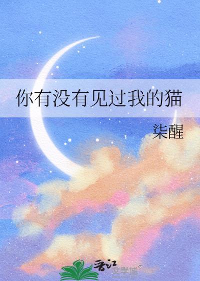 你有没有见过我的猫