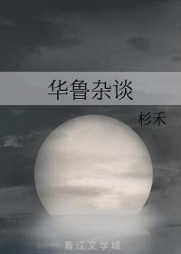华鲁杂谈