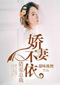 猎爱总裁:娇妻不依