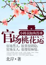 官场桃花