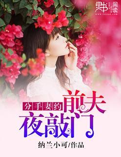 分手妻约:前夫夜敲门!