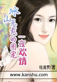 冰山总裁的圈宠:一夜欢情